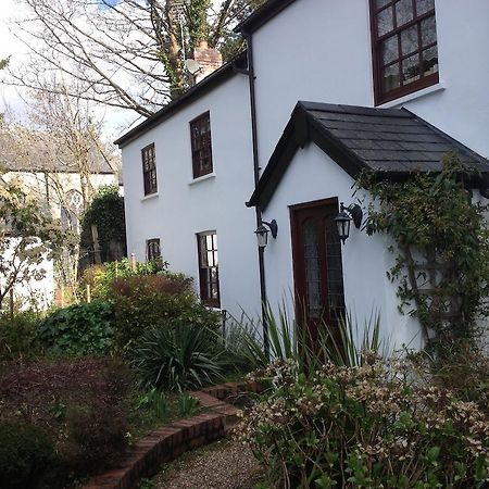 كارديف The Laurels Bed And Breakfast المظهر الخارجي الصورة