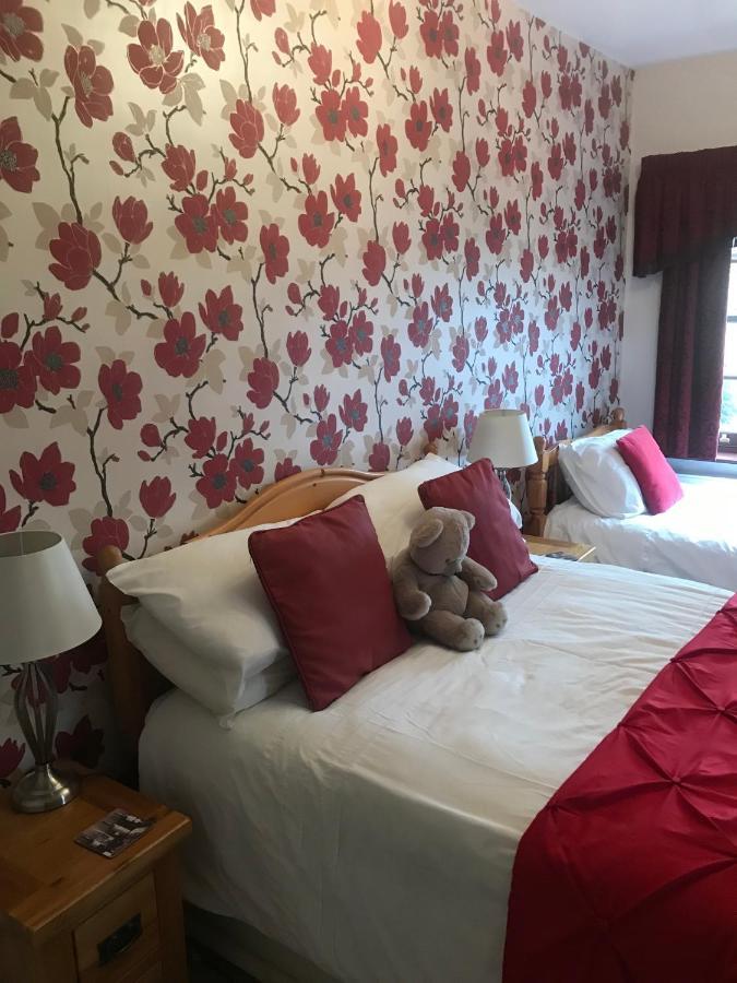 كارديف The Laurels Bed And Breakfast المظهر الخارجي الصورة